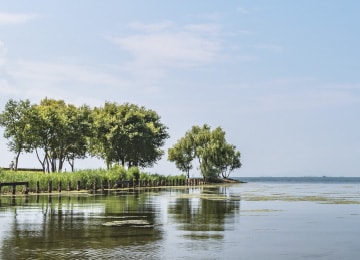 年末年始の営業について